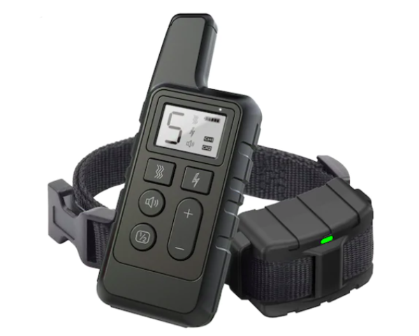 Screen Shot 12-17-20 at 11.16 AM