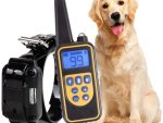 Set receiver plus curea, pt zgarda L880